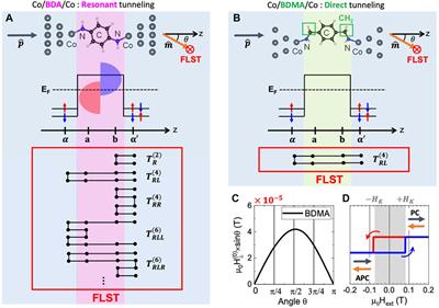 Exchange bias toggling in amine-ended single-molecule magnetic junctions by contact geometry